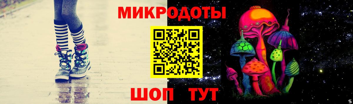 Вышний Волочёк  Псилоцибиновые грибы мицелий  Вход с VPN  Псилоцибиновые грибы Cubensis 
