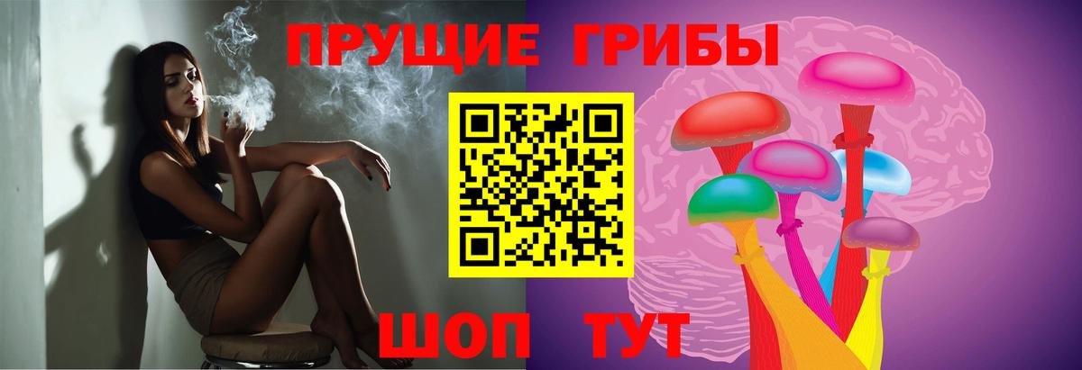 Галлюциногенные грибы Magic Shrooms Вышний Волочёк